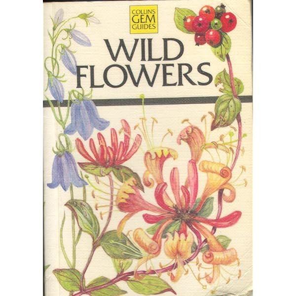 Amazon | Wild Flowers of Britain: Month by Month | Wilson